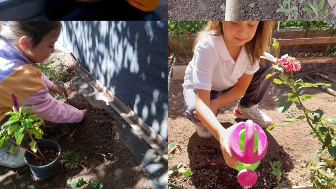 ÇARE Projesi Eylül Ayı Etkinlikleri 